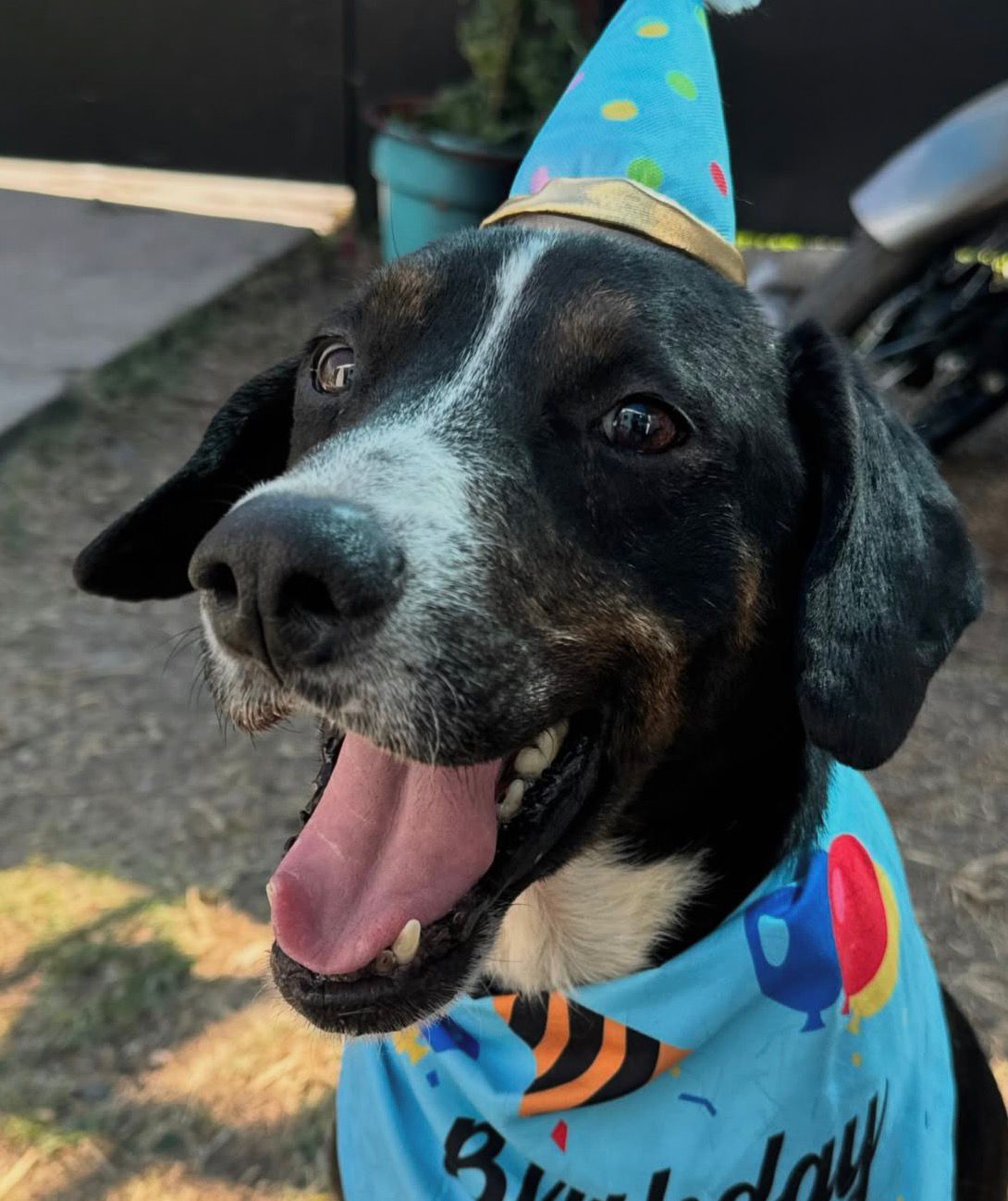 Fondo de rehabilitación para Gaspar