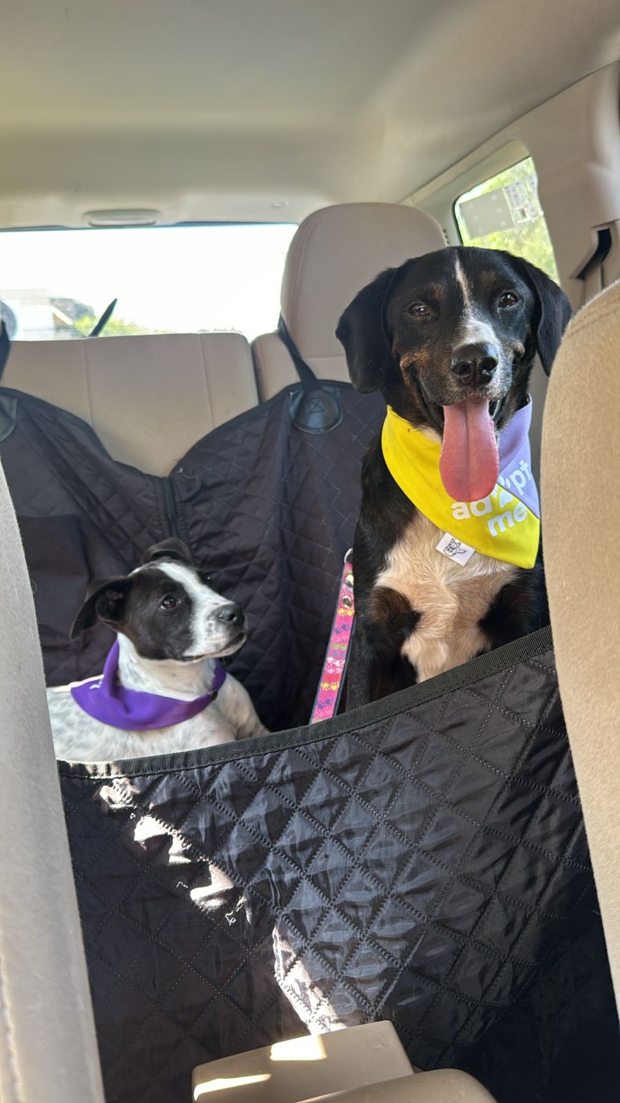 Un día conviviendo con Gaspar