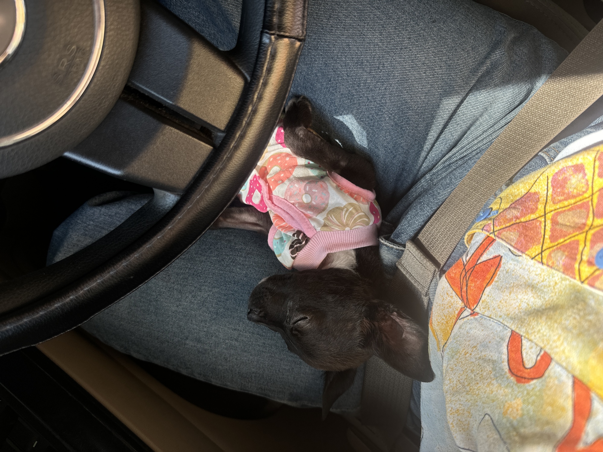 El día que fue dada de alta