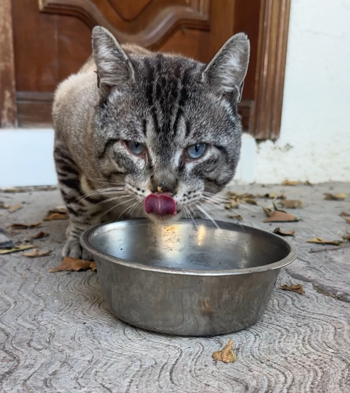 Feliz con su comidita