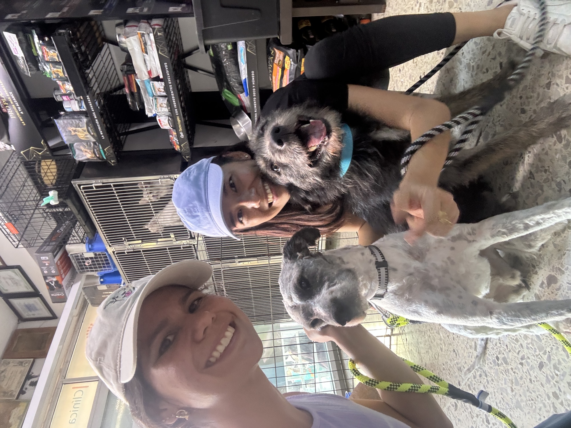 Fin de semana en la veterinaria