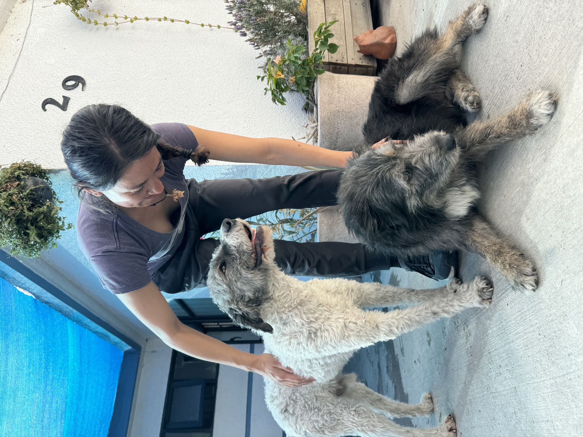 Viviendo en Hostal La Tuna