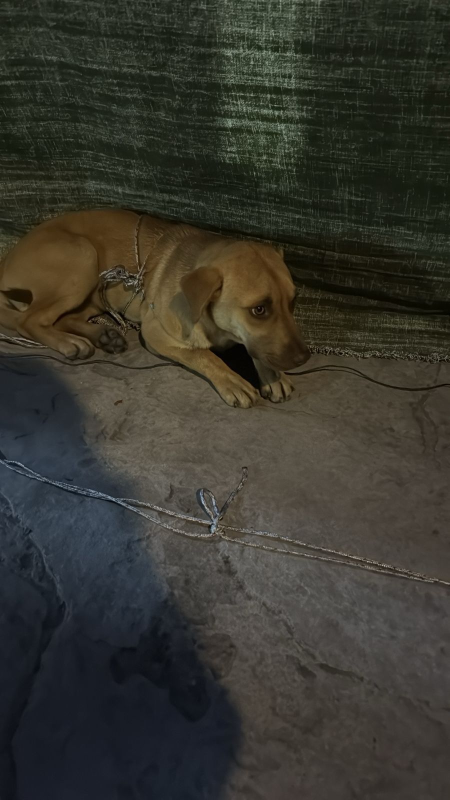 El día de su rescate