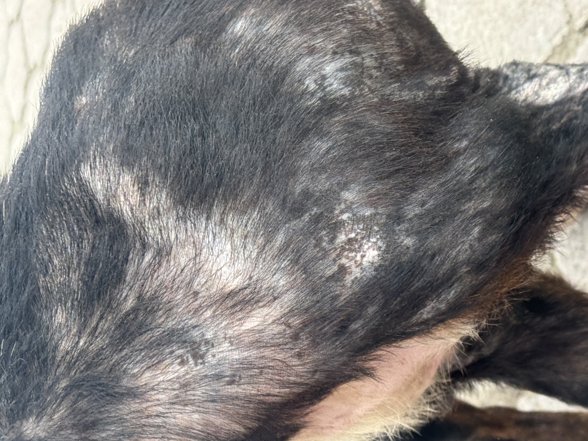 Sus problemas severos de piel