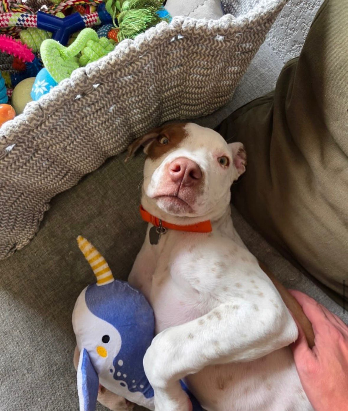 Ragnar (antes Tyler)