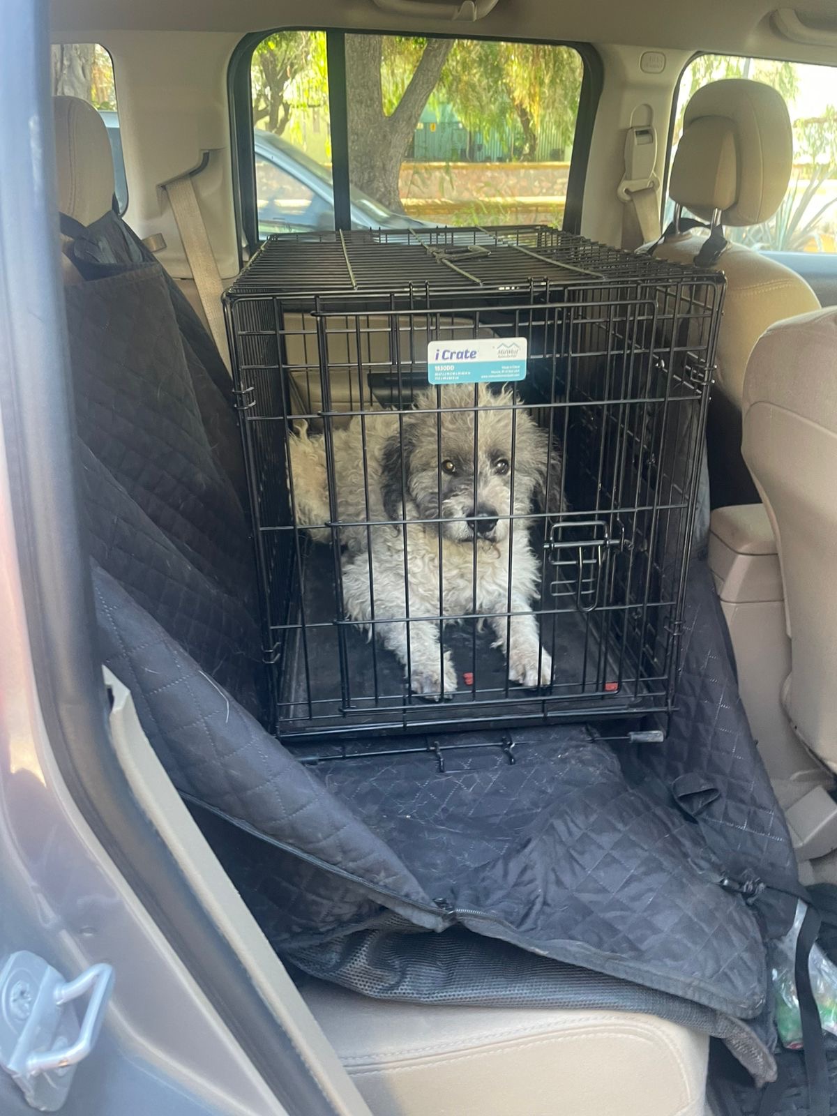 El día de su rescate