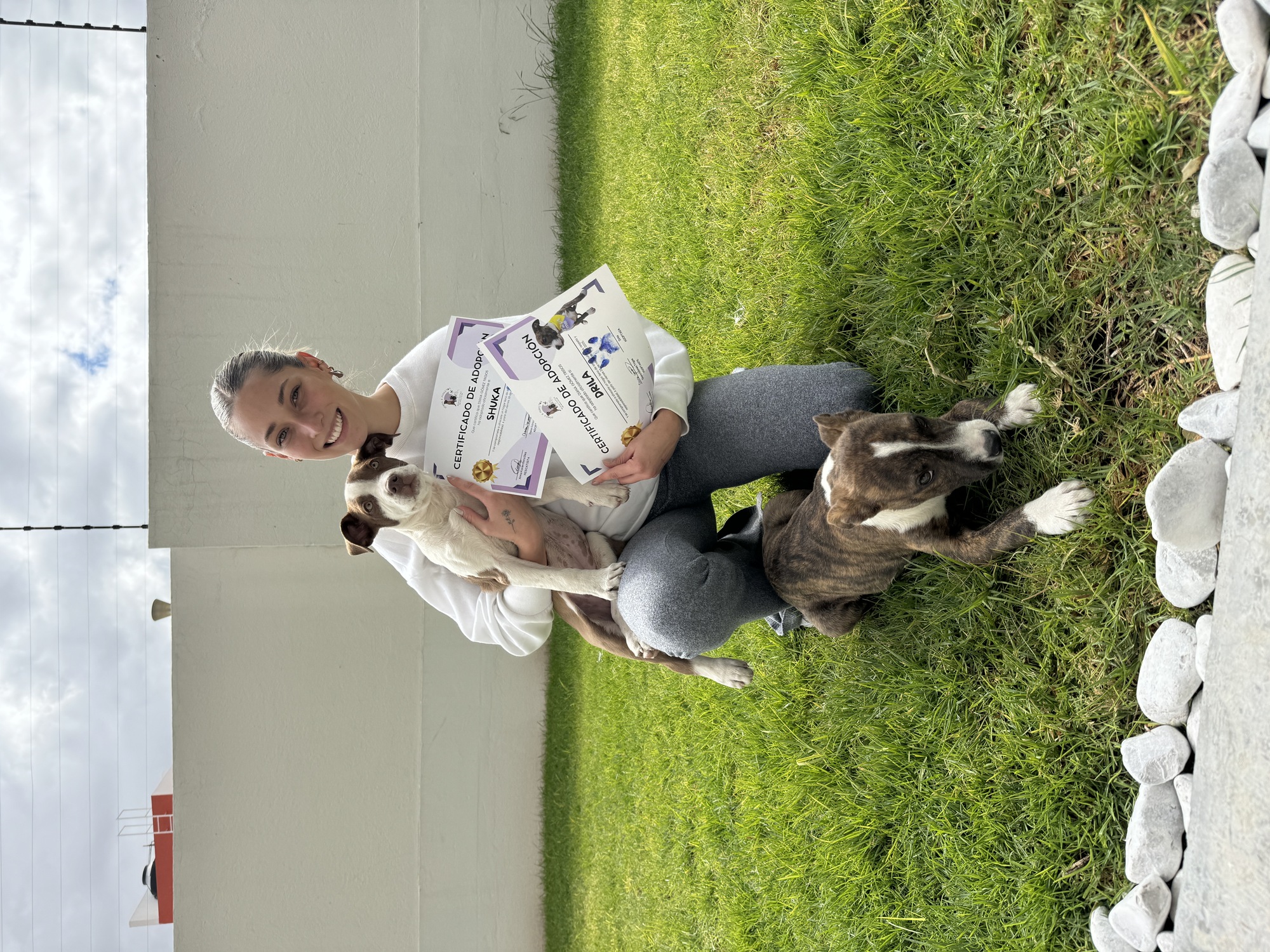 El día de su adopción